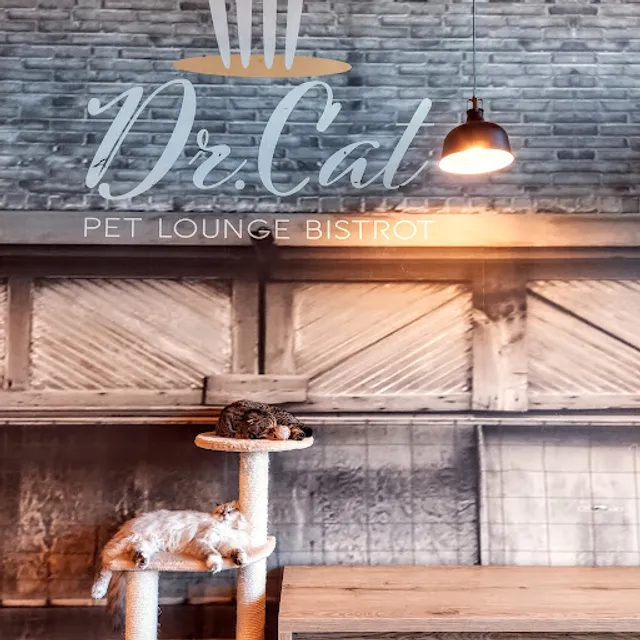Dr. Cat | Pet Lounge Bistrot