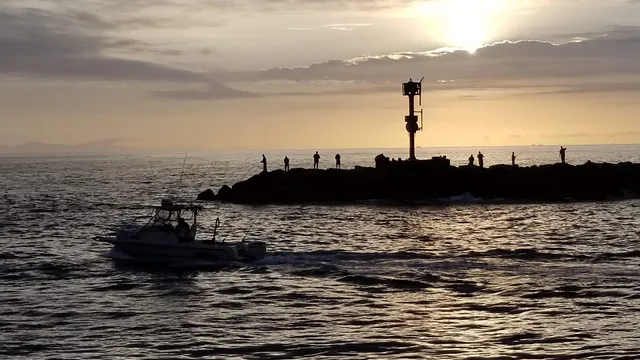 Ocean Explorer Cruises