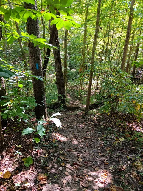 Kokiwanee Nature Preserve Trailhead