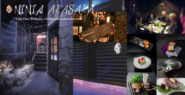 Ninja Tokyo