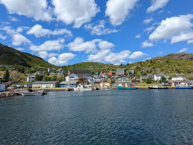 Petty Harbour Mini Aquarium