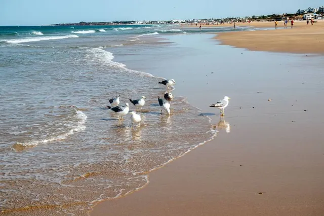 Playa de Sancti Petri