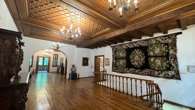 "Theodor Pallady" Museum