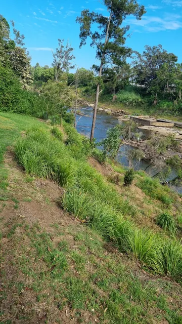 photo-3