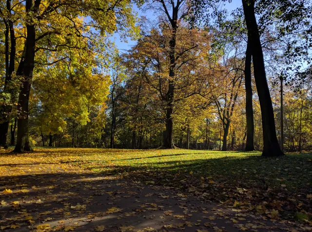 Park A. and E. Jerzmanowski