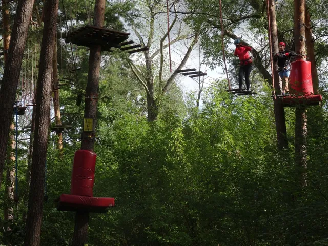Rope Park at the Holiday Inn Jozefow