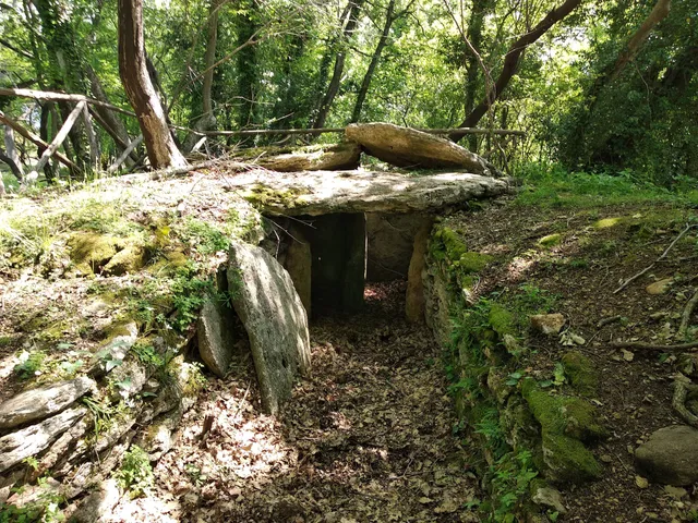 Necropoli Etrusca del Puntone