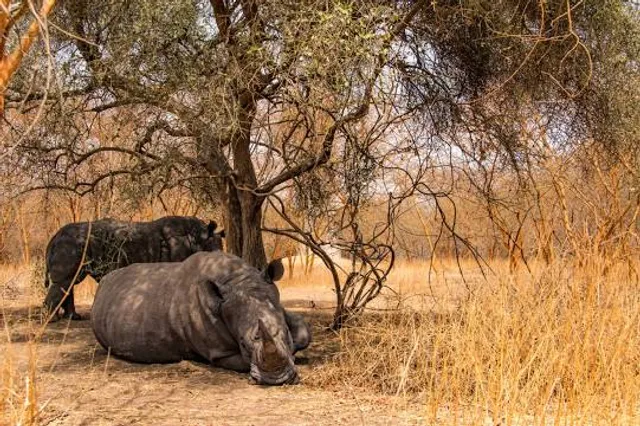 Communauté rurale de Sindia