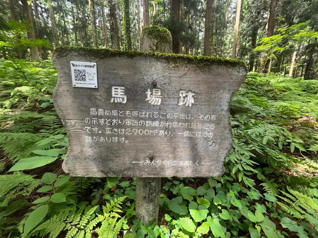 photo-1