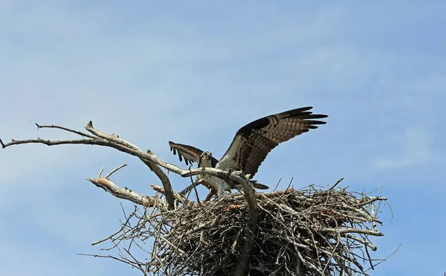 Tinker Nature Park / Hansen Nature Center
