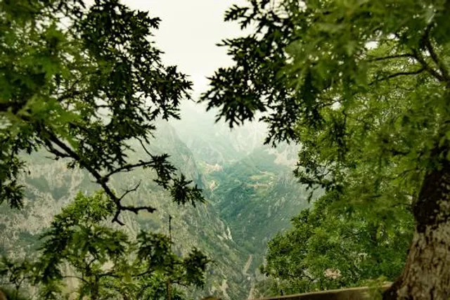 Saint Catherine Lookout