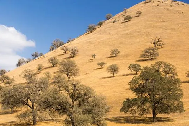 Dutch Creek Falls Trailhead