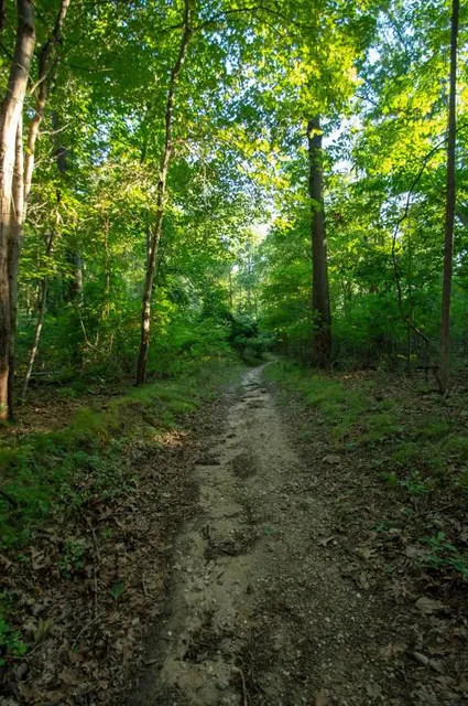 Blydenburgh Park Historic District