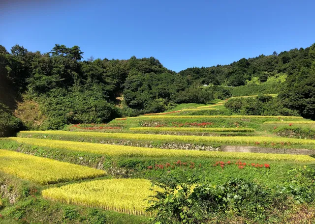 Sawajiri Rice Terraces
