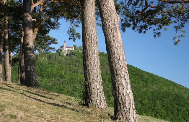 Gemeindeverwaltungsverband Lenningen