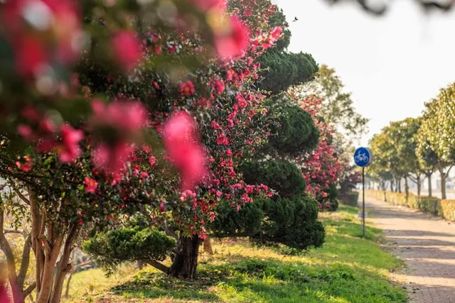 Samnak Ecological Park