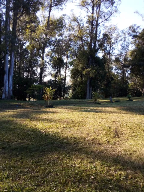 Park Chico Mendes