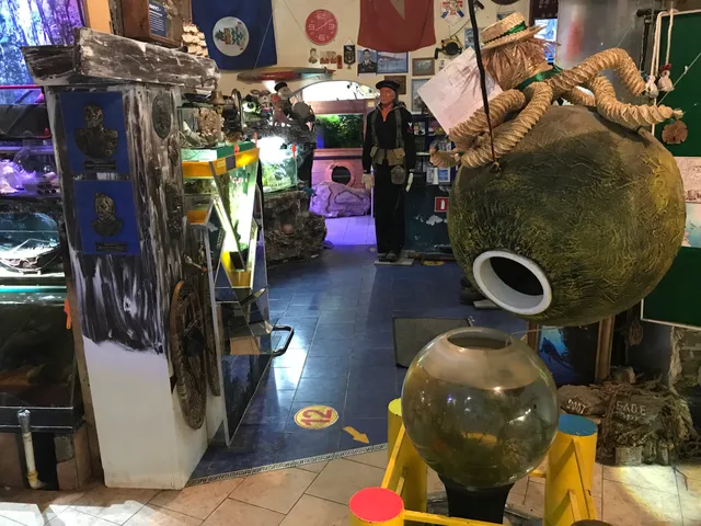 Otkrytyi Okean Centr Okeanografii Chastnoe KUL'Turno-Prosvetitel'Noe Uchrezhdenie