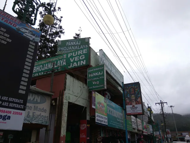 Pankaj Bhojanalaya(Pure veg & Jain food)