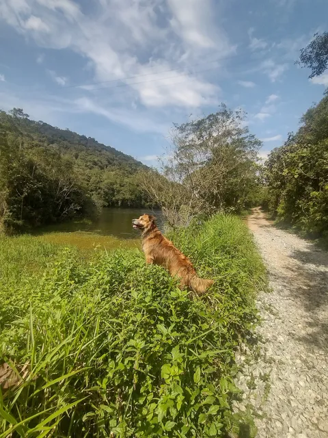 Parque Estadual Águas da Billings -