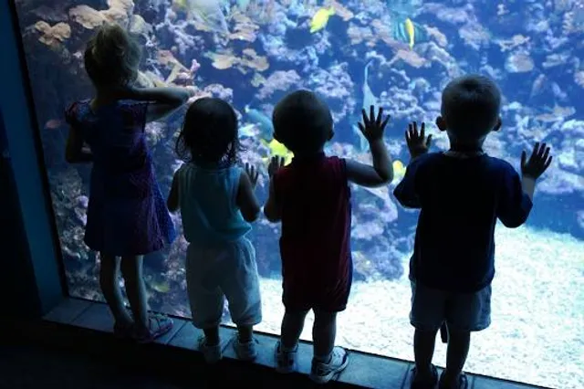 Greensboro Science Center