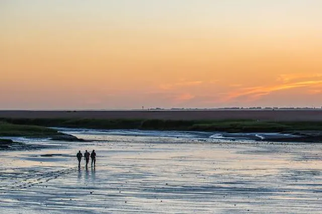 Visitor Center Saeftinghe
