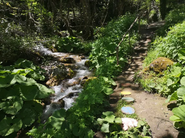 photo-2