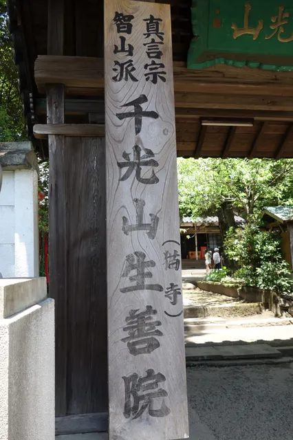 photo-1