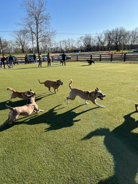 Scioto Audubon Dog Park