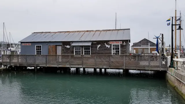 Turtle Cannery Museum