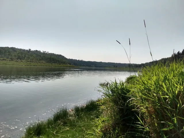 Prince Albert No. 461