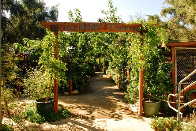Wildlife Learning Center