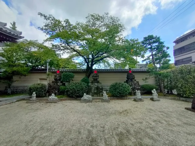 photo-2