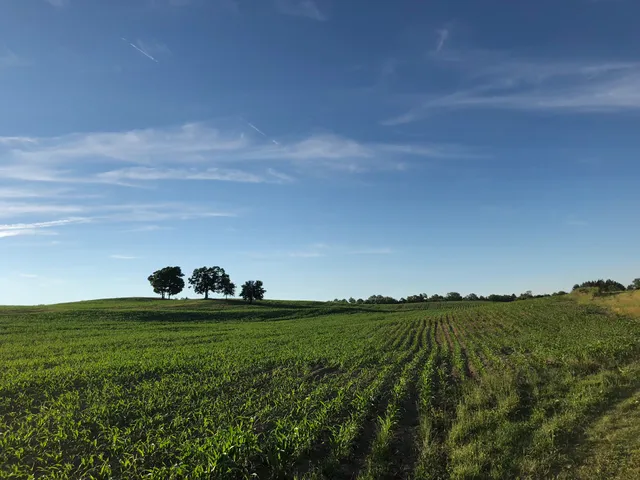 Farm at Miller's Crossing