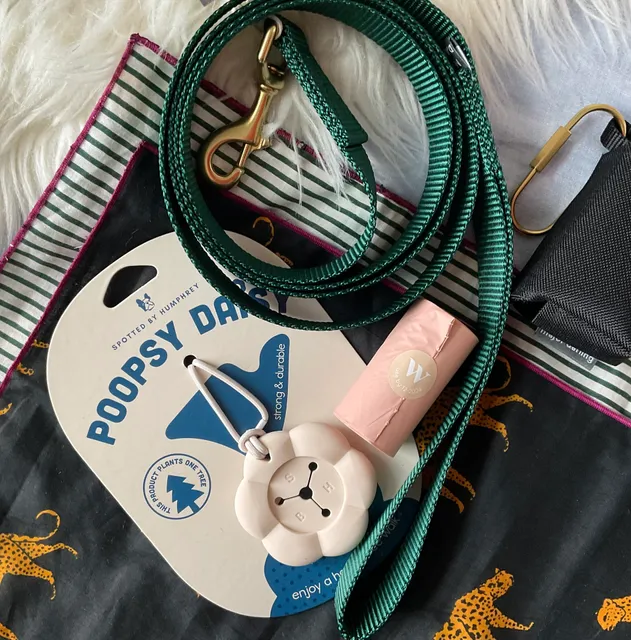 CornChip Dog Collective