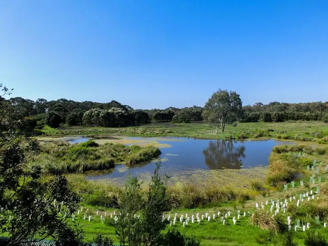 A Maze N Things Theme Park