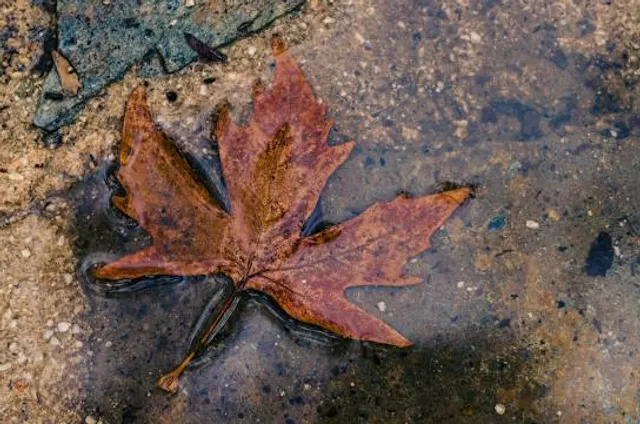 Catacomba di Villagrazia di Carini