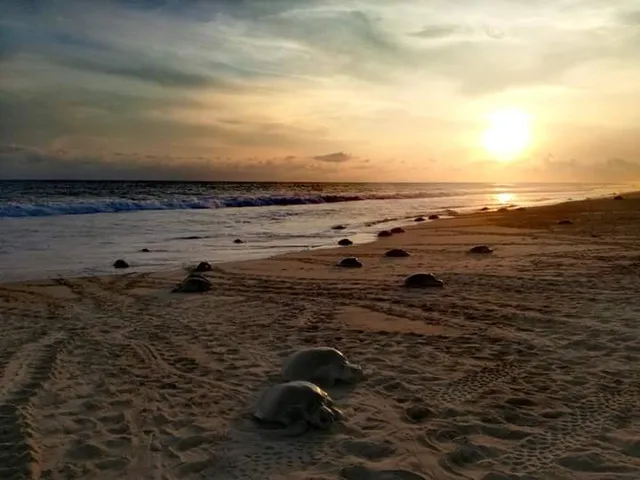 Centro Ecoturístico La Escobilla