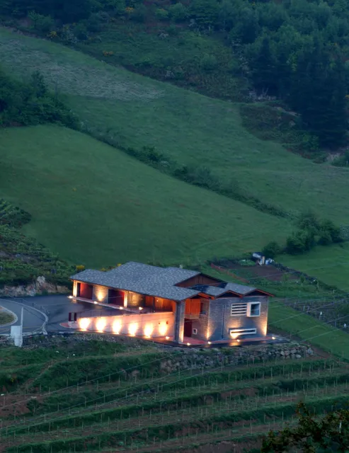 DOMINIO DEL UROGALLO