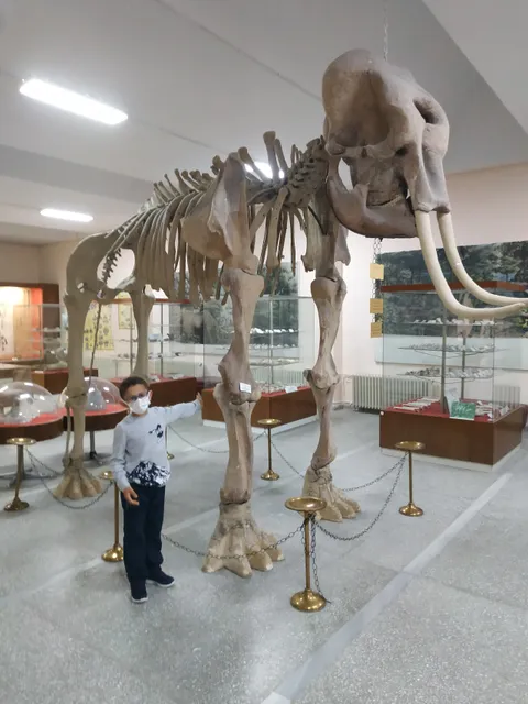 Natural History Museum