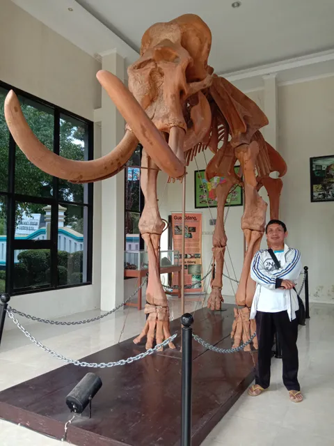 Ancient Elephant Fossil Replica Blora