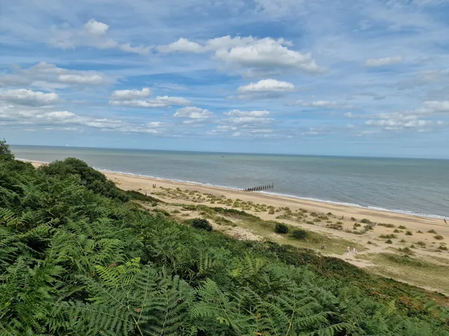 Gunton Warren