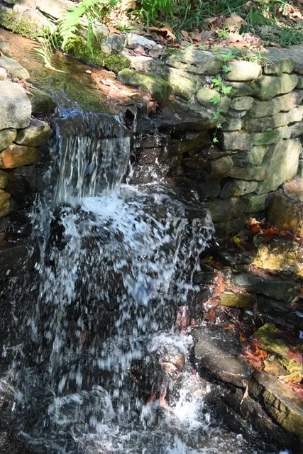 Donald E. Davis Arboretum