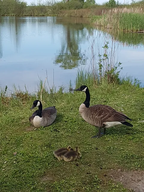 Elizabethtown-Kitley