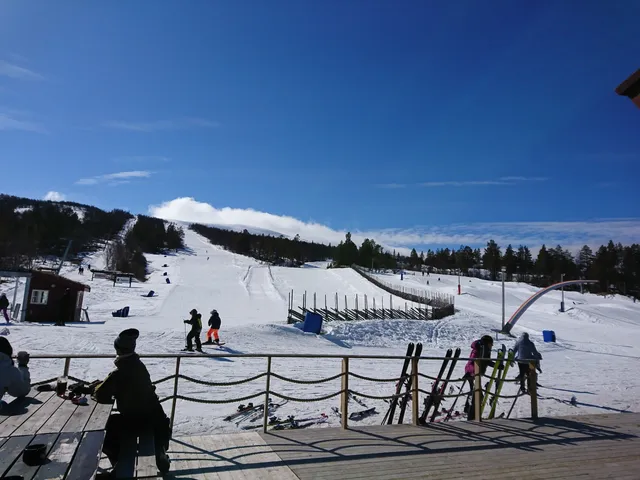Roros Resort - Hummelfjell