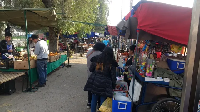 Feria del Domingo