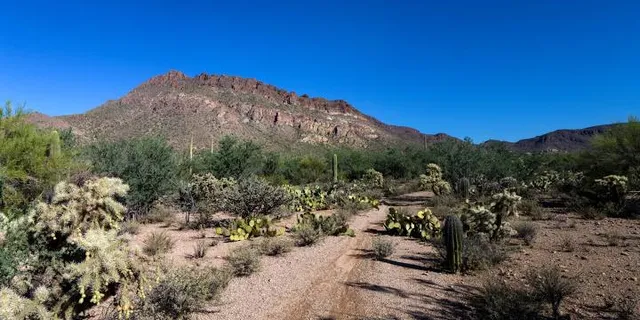 Tucson Mountain Park