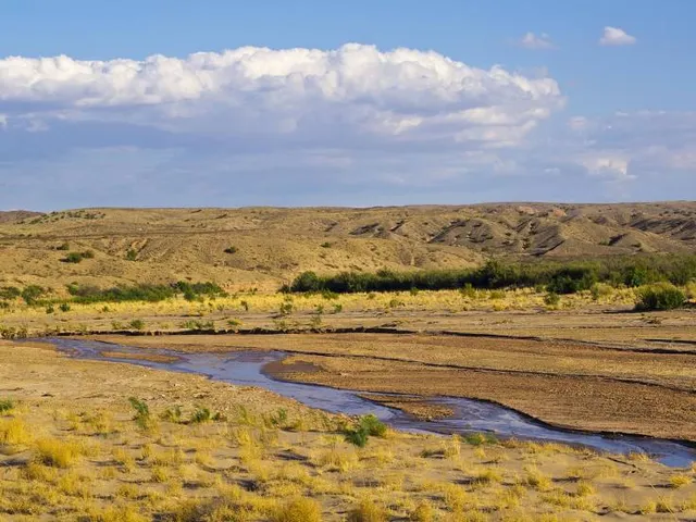 Sevilleta National Wildlife Refuge