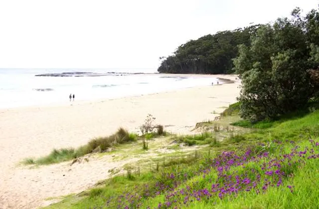 Mollymook Beach