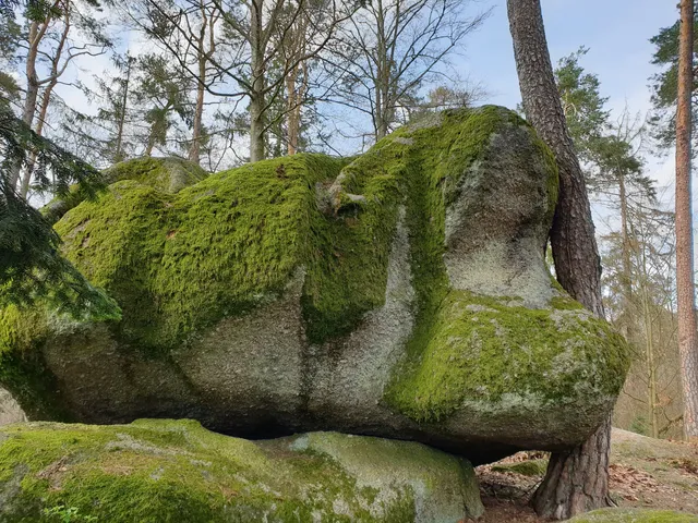 Wasserstein Nittenau
